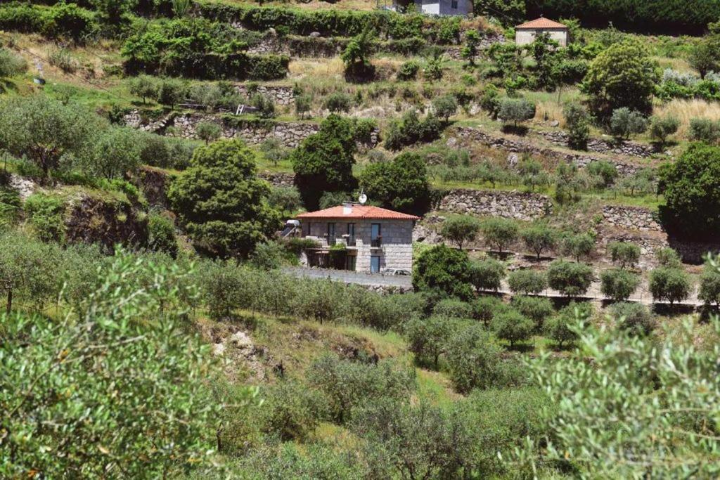 Casa Dos Becos Villa Ribadouro Exterior photo